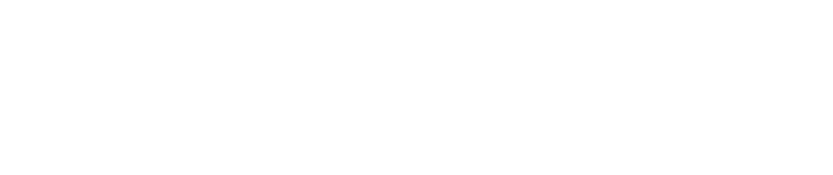 The Fashion Wedding