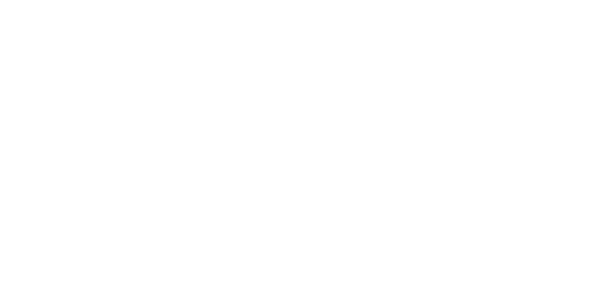 The Fashion Wedding